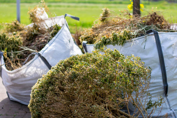 Best Appliance Removal Near Me  in Whiteville, TN