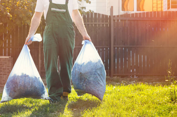 Best Electronics Removal Services  in Whiteville, TN