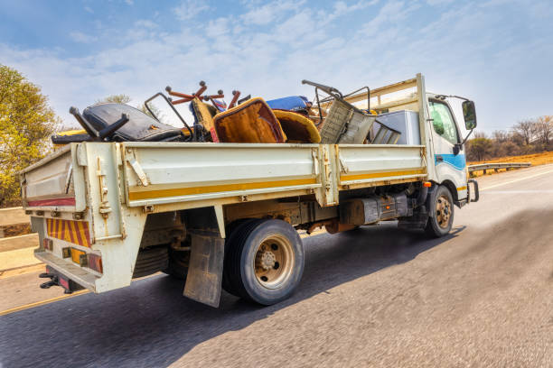 Debris Removal in Whiteville, TN